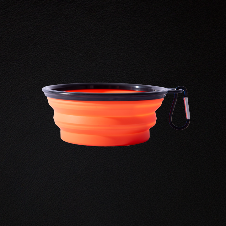 EZ Flate Collapsible Dog Bowl