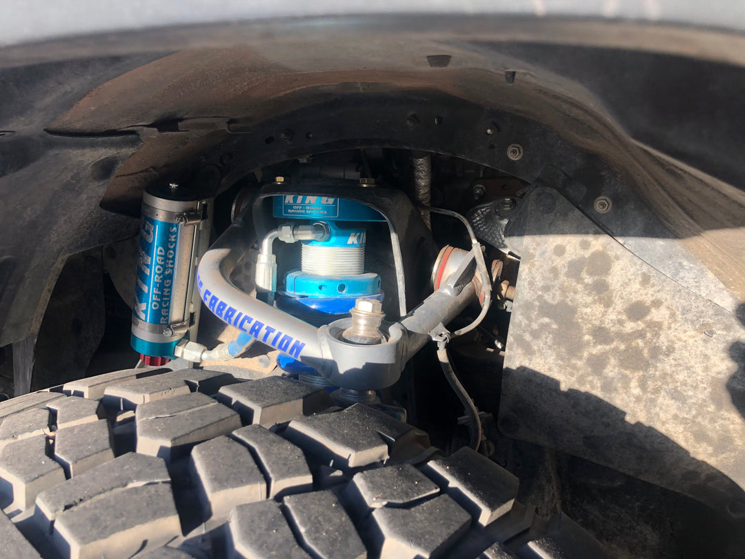 Ark Splash Guards for Tacoma (2016-2023)