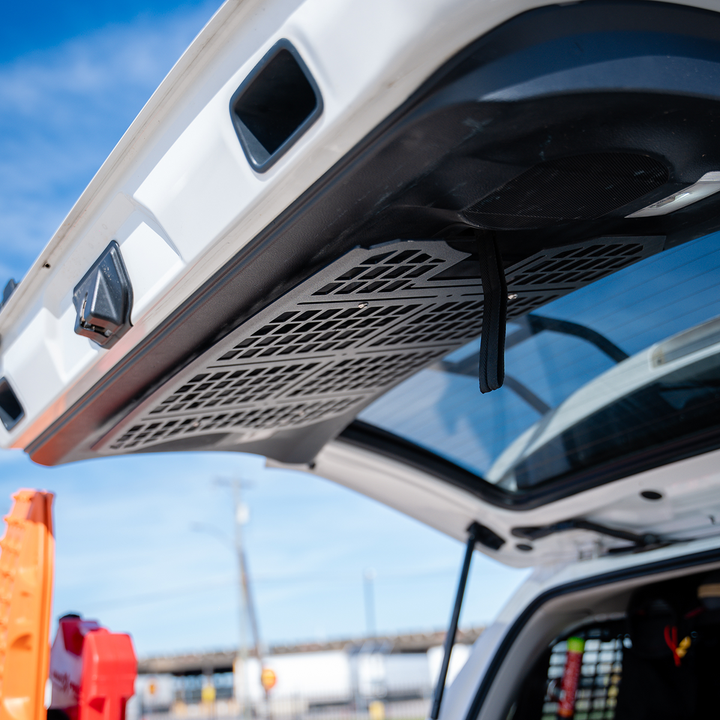 Cali Raised LED Rear Hatch Molle Panel for 4Runner (2010-2024)