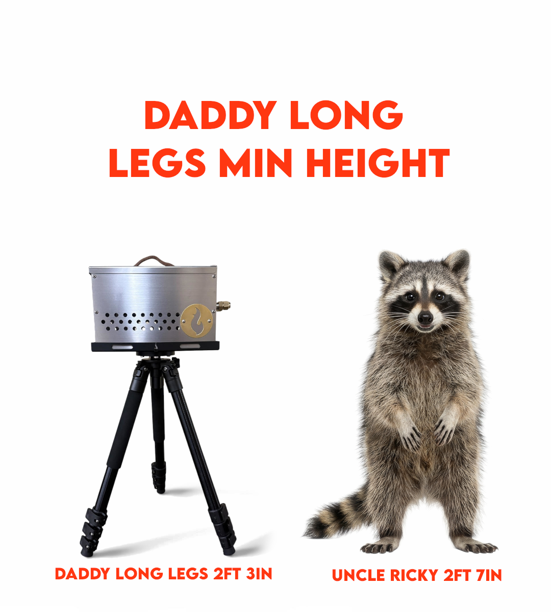Daddy Long Legs: Cook and Campfire at Waist High!