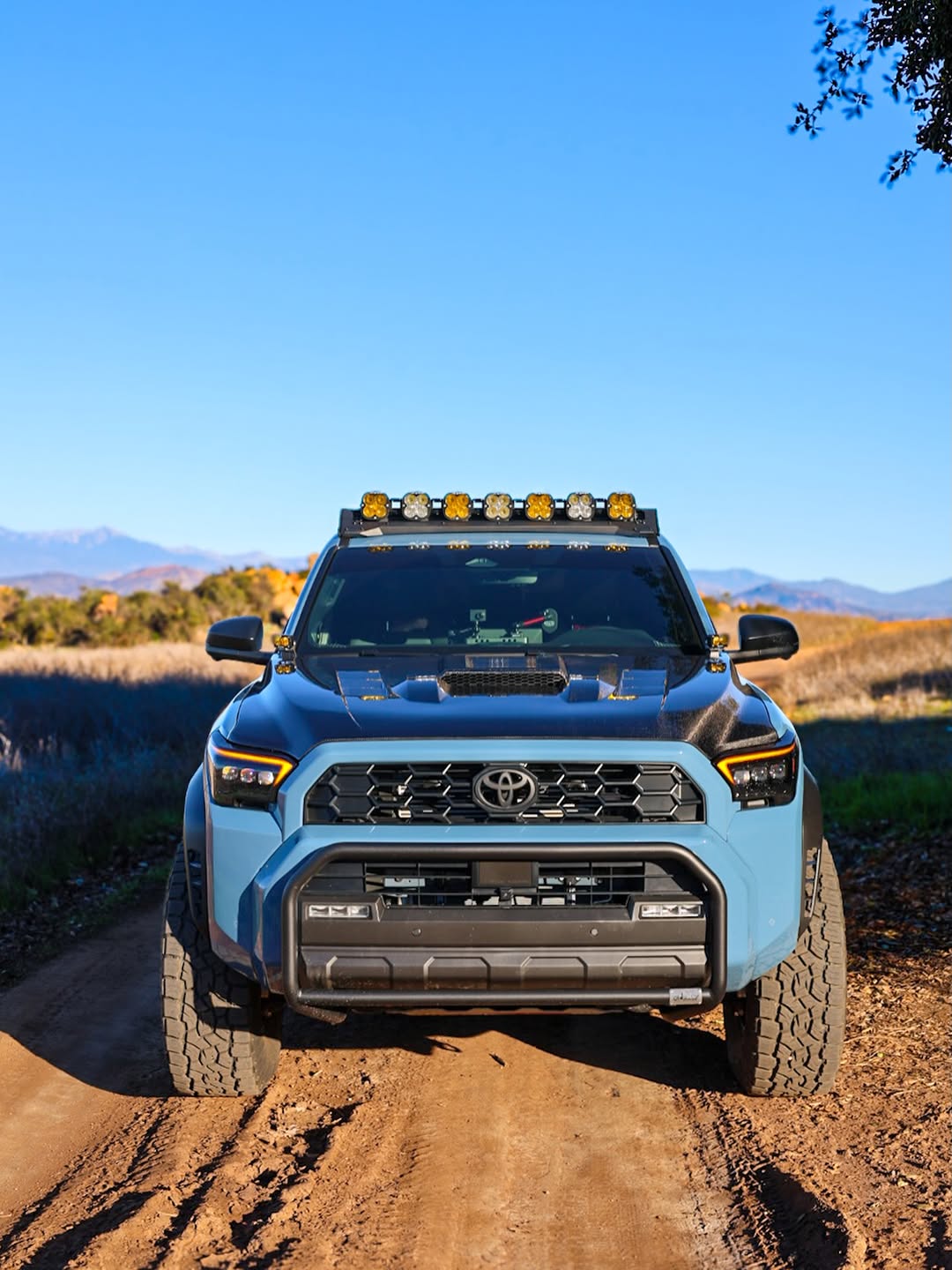 Seibon TR-STYLE Carbon Fiber Hood For 2024+ Toyota Tacoma / 2025+ 4runner