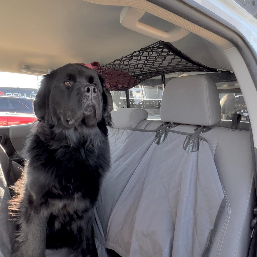 Nissan Frontier Attic Storage Net