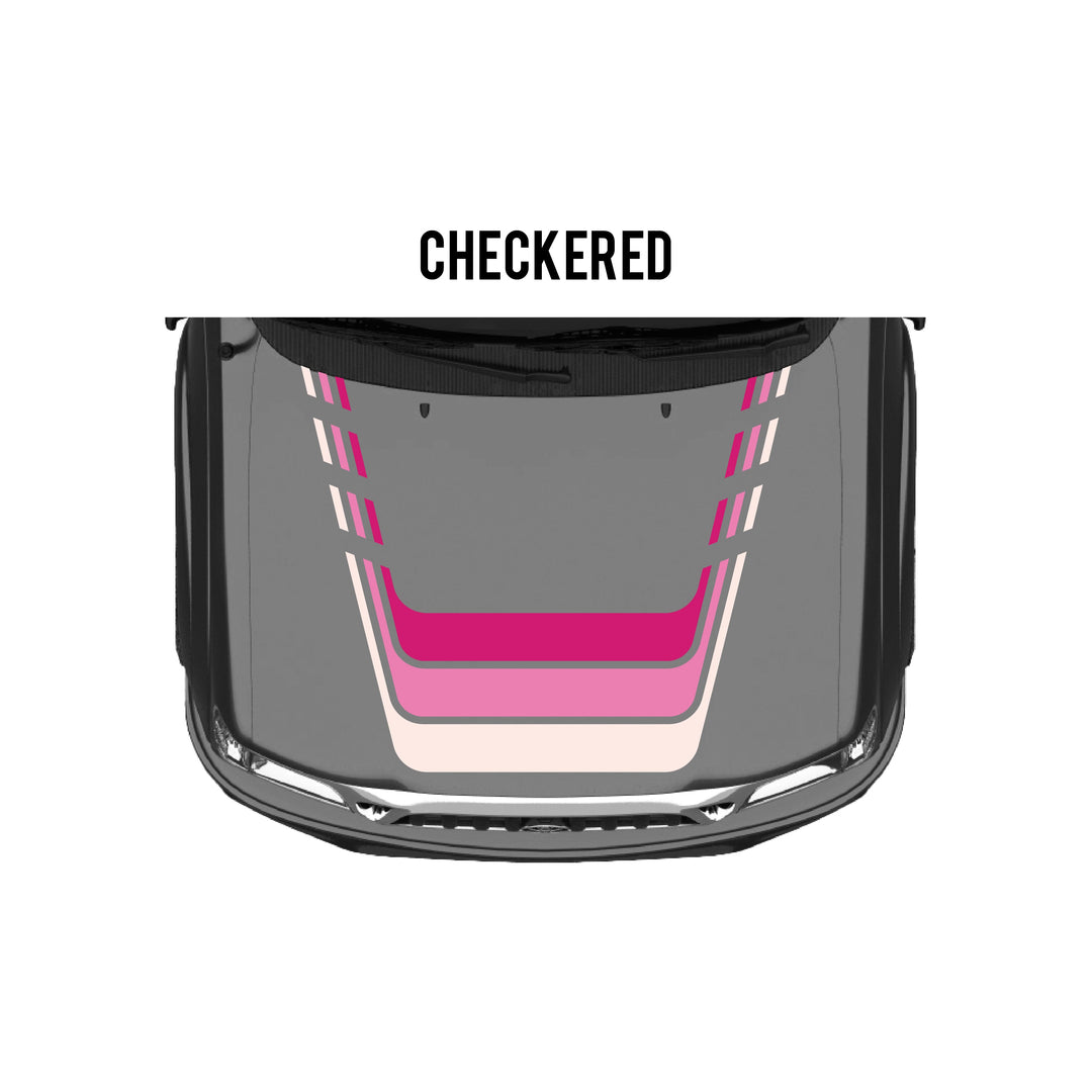 2001-04 Tacoma Checkered Stripe Kit