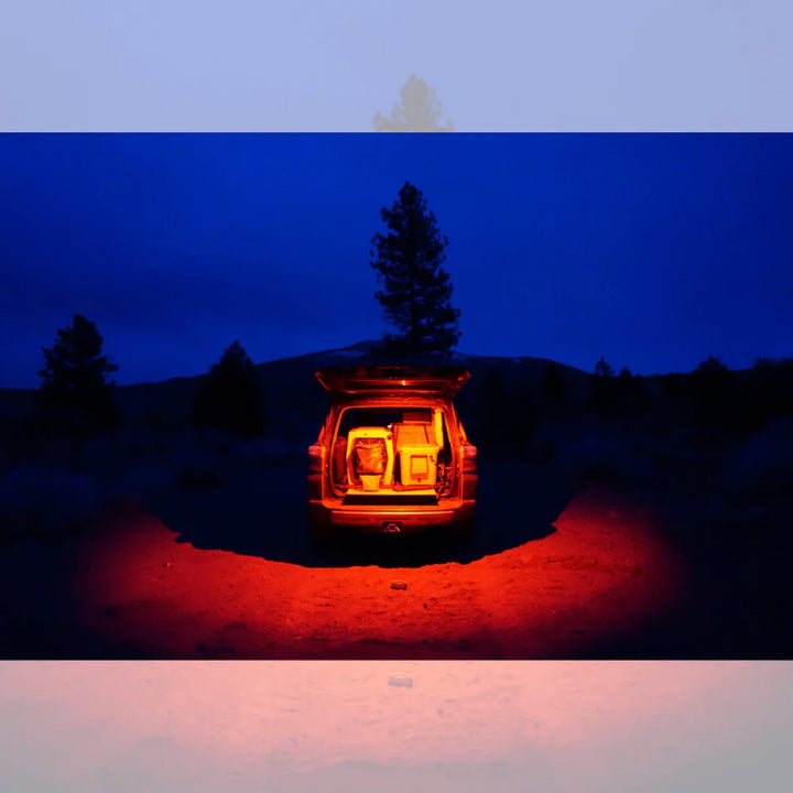 Baja Designs LED Rock Light - Universal